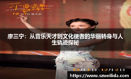 廖三宁：从音乐天才到文化使者的华丽转身与人生轨迹探秘
