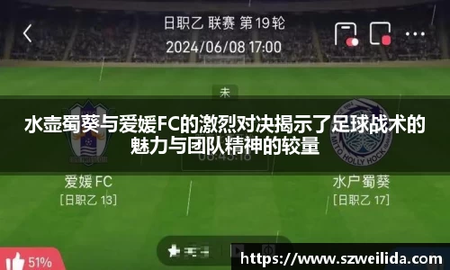 水壶蜀葵与爱媛FC的激烈对决揭示了足球战术的魅力与团队精神的较量